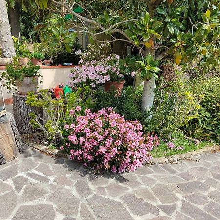 Il Diacciarello Lägenhet Gabbro Exteriör bild
