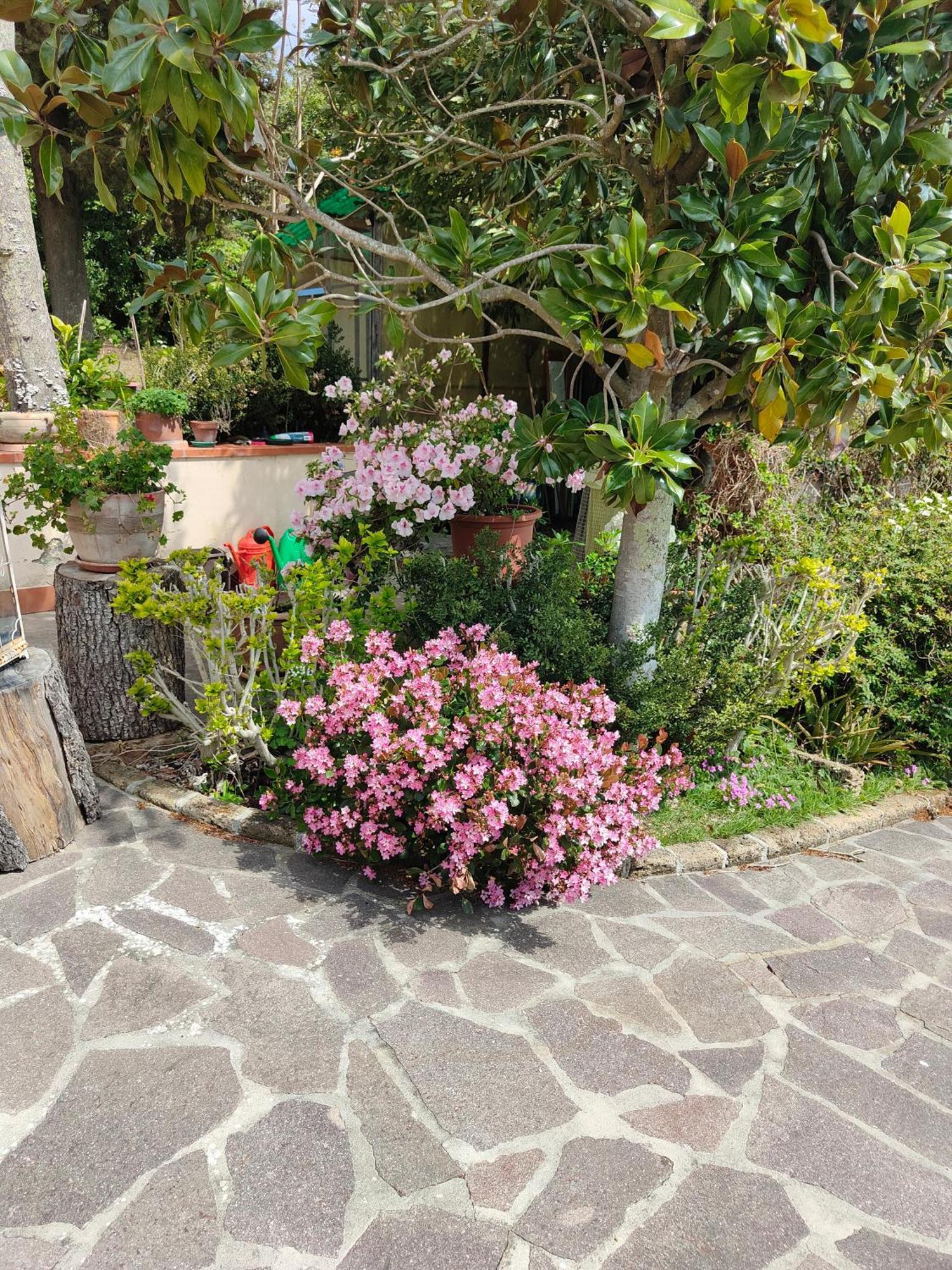 Il Diacciarello Lägenhet Gabbro Exteriör bild