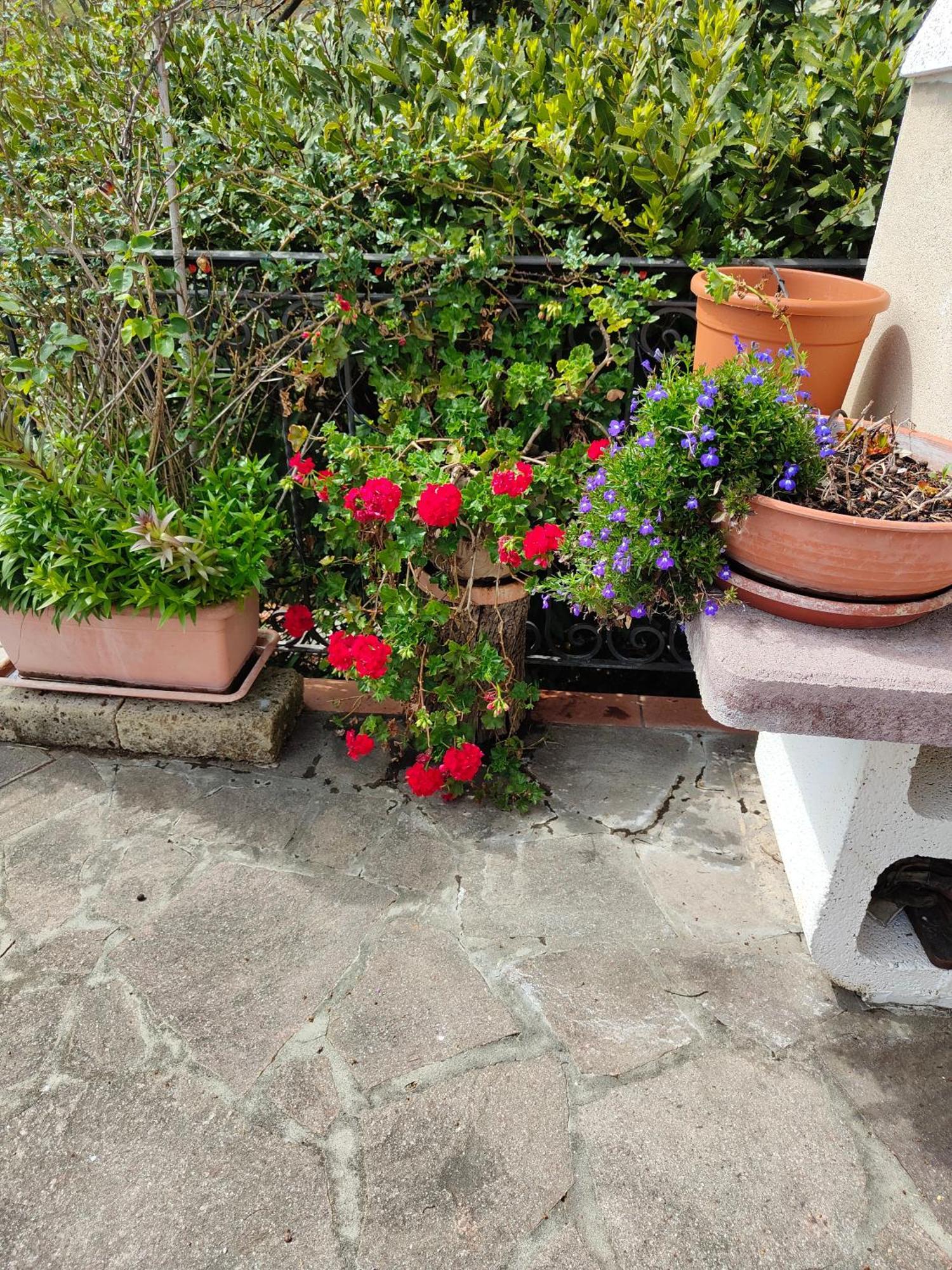 Il Diacciarello Lägenhet Gabbro Exteriör bild